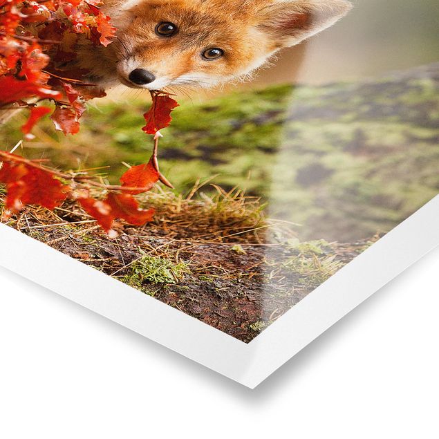 Wandbilder Blumen Fuchs im Herbst