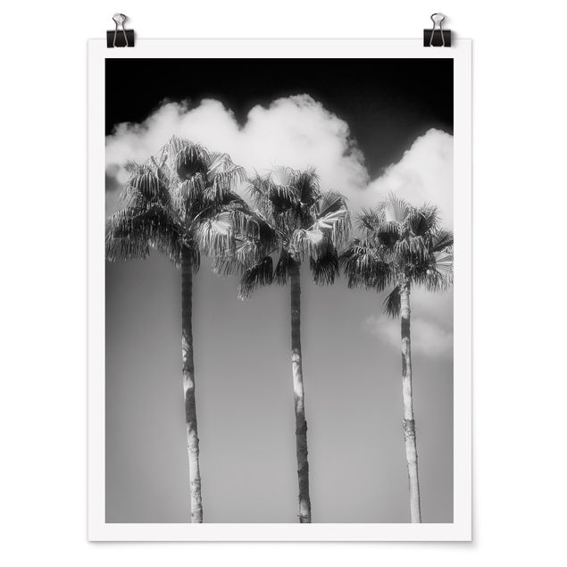 Kunstkopie Poster Palmen vor Himmel Schwarz-Weiß