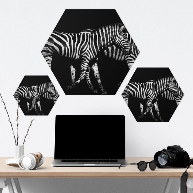 Hexagon Bild Forex - Zebra vor Schwarz
