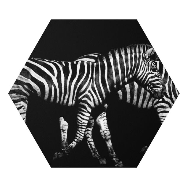 Forex Bilder Zebra vor Schwarz