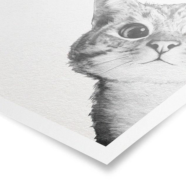 Poster Kunstdruck Illustration Katze Zeichnung Schwarz Weiß