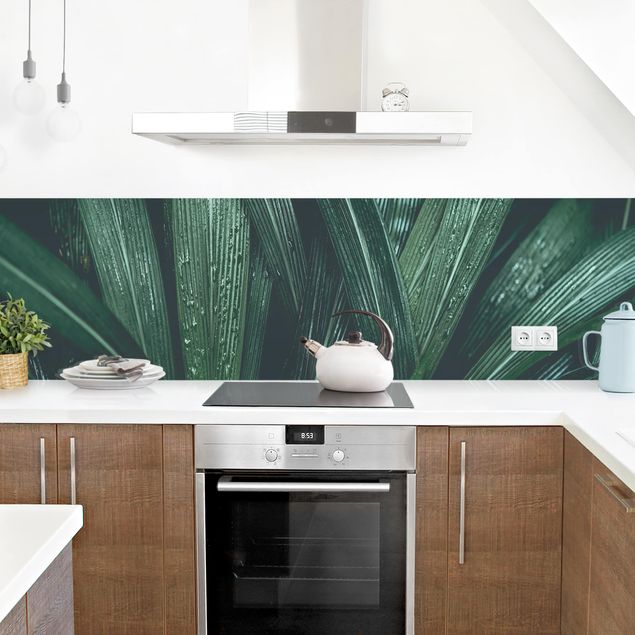 Spritzschutz Küche Glas Grüne Palmenblätter