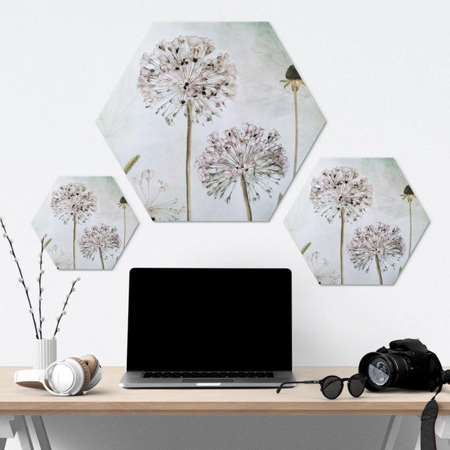 Hexagon Bild Alu-Dibond - Lauchblüten in Pastell