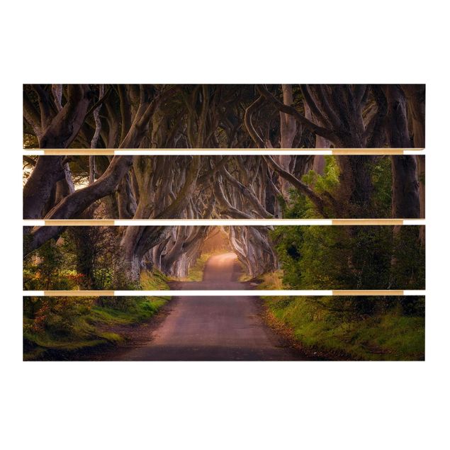 Wandbild Holz Tunnel aus Bäumen