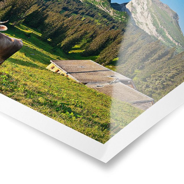 Poster Tiere Schweizer Almwiese mit Kuh
