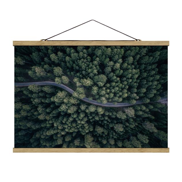 Wandbilder Natur Luftbild - Waldstraße von Oben