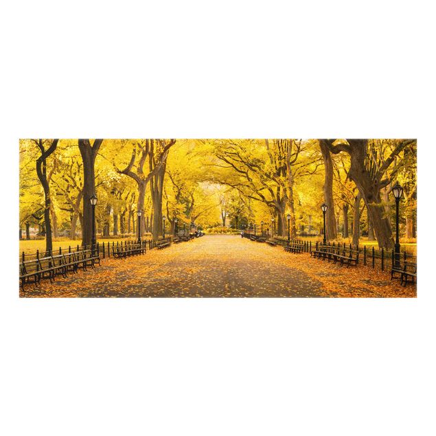 Spritzschutz Glas - Herbst im Central Park - Panorama 5:2