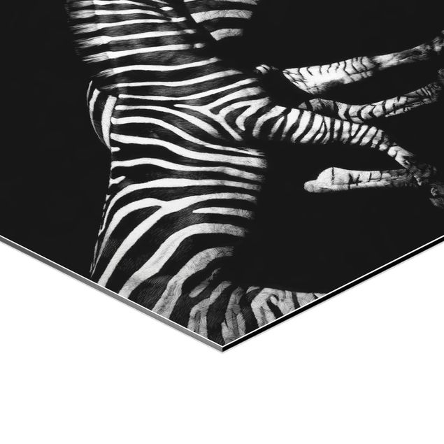 Bilder Hexagon Zebra vor Schwarz