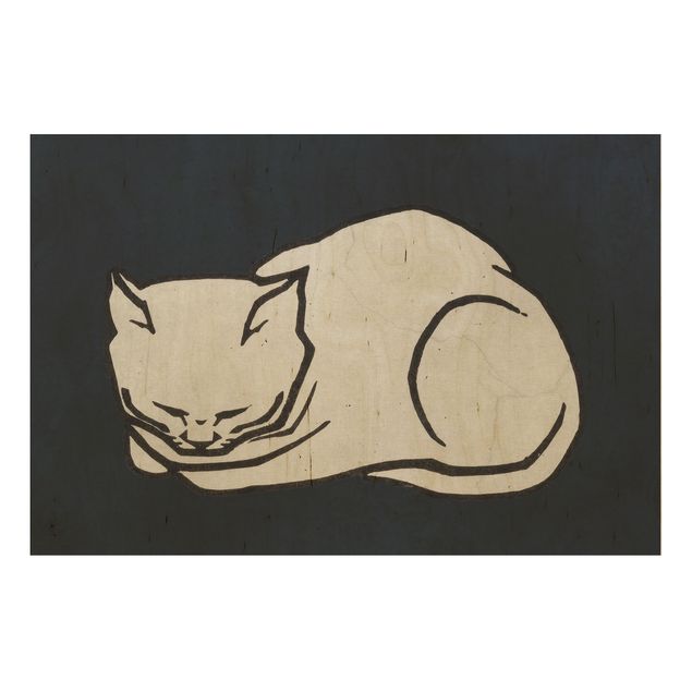 Kubistika Bilder Schlafende Katze Illustration