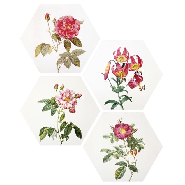 Wandbilder Blumen Pierre Joseph Redouté - Rosen und Lilien