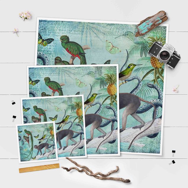 schöne Bilder Colonial Style Collage - Äffchen und Paradiesvögel