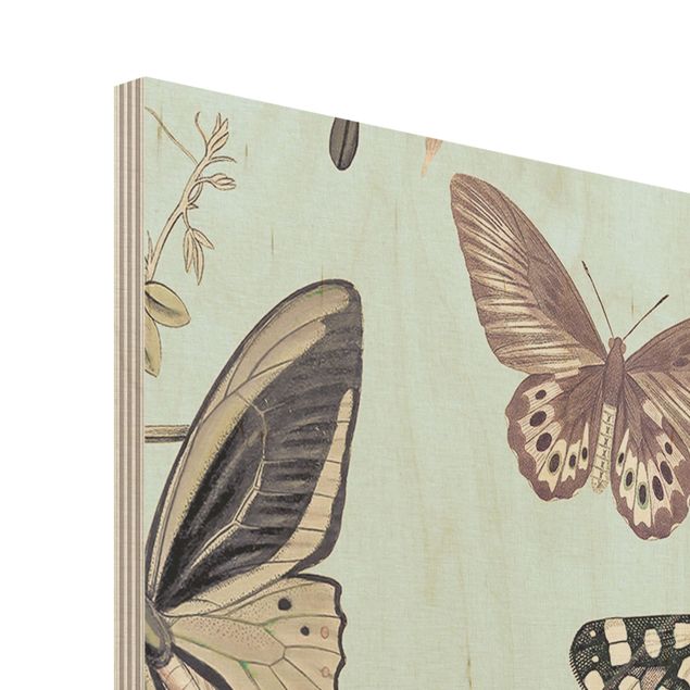 Wandbilder Vintage Collage - Schmetterlinge und Libellen