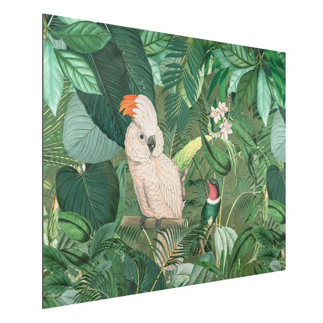 Küche Dekoration Vintage Collage - Kakadu und Kolibri