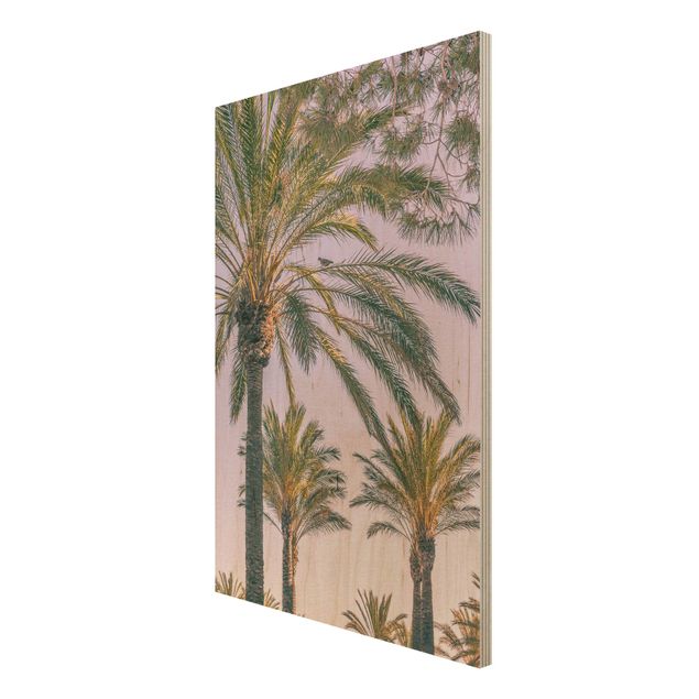 Holzbild Natur Palmen im Sonnenuntergang