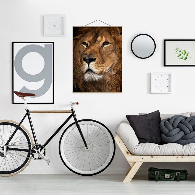 Wandbilder Afrika Löwenblick