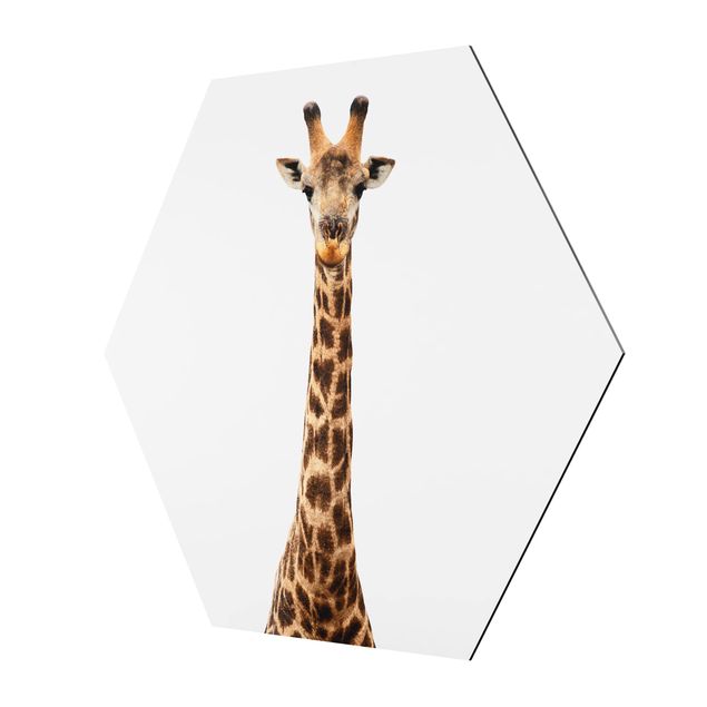 Hexagon Bilder Giraffenkopf