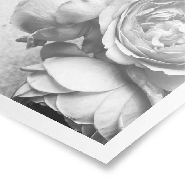 Wandbilder Schwarz-Weiß Pfingstrosenblüten Schwarz Weiß