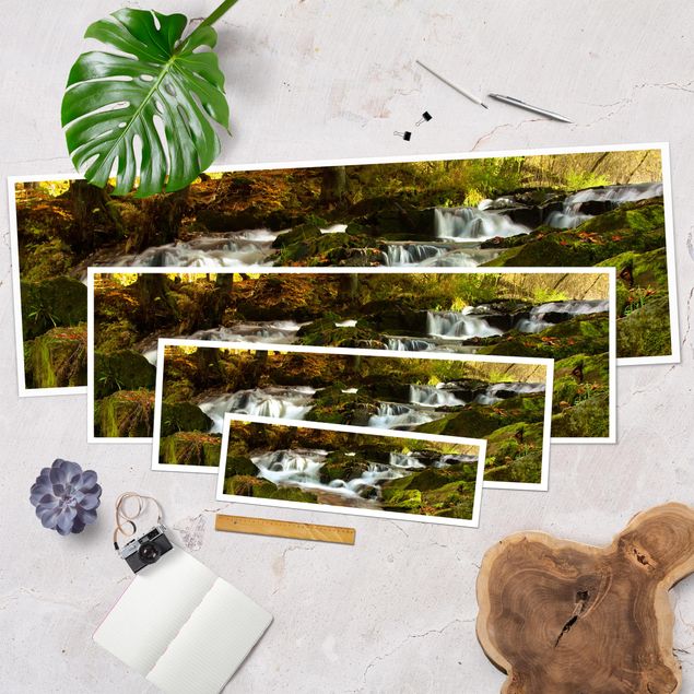 Bilder Wasserfall herbstlicher Wald