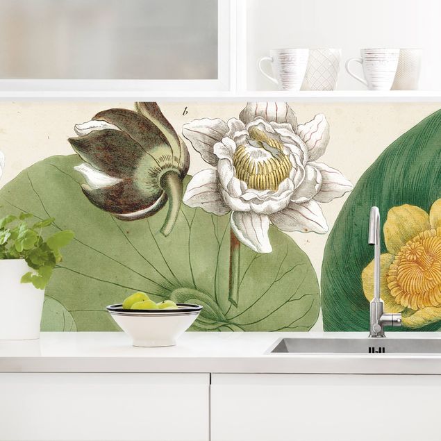 Wanddeko Küche Vintage Illustration Weiße Wasserlilie