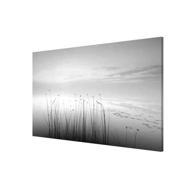 Wandbilder Natur Idylle am See Schwarz-Weiß