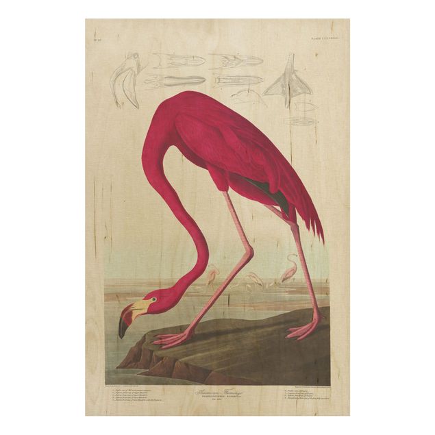 Holzbilder Blumen Vintage Lehrtafel Amerikanischer Flamingo