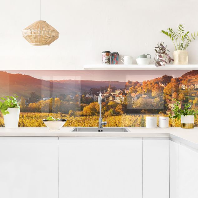 Spritzschutz Küche Glas Weinberge in Frankreich