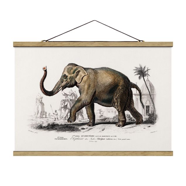 Wandbilder Natur Vintage Lehrtafel Elefant