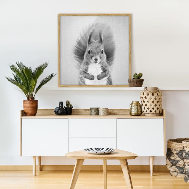 Gerahmte Bilder Tiere Eichhörnchen Elisabeth Schwarz Weiß
