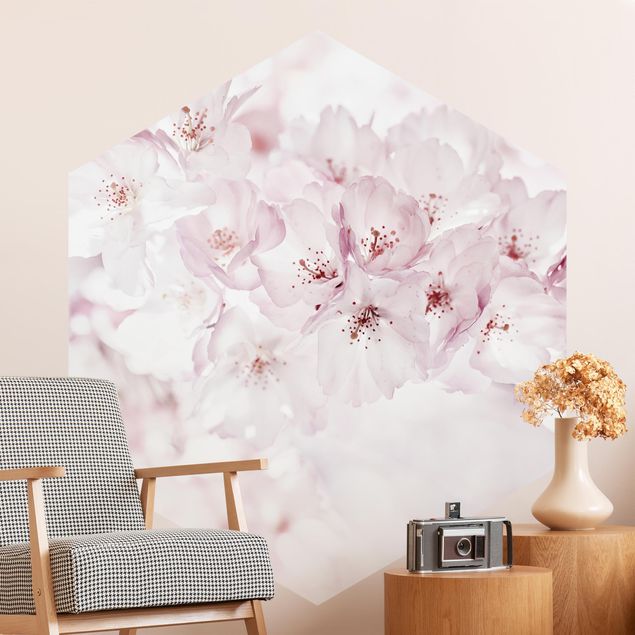 moderne Fototapete Ein Kirschblütenhauch