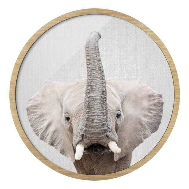 Gerahmte Bilder Tiere Elefant Ewald