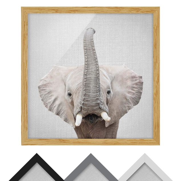 Wandbilder Schwarz-Weiß Elefant Ewald