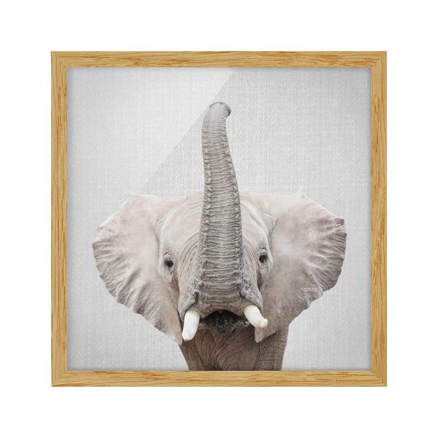 Gerahmte Bilder Tiere Elefant Ewald