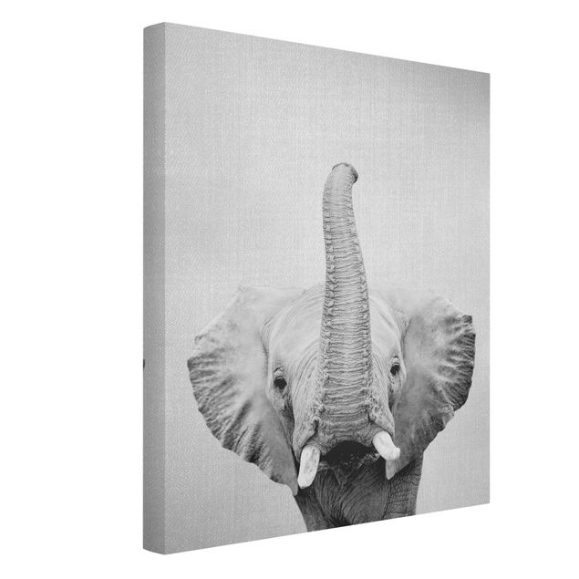 schwarz-weiß Bilder auf Leinwand Elefant Ewald Schwarz Weiß