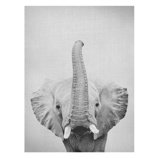 Tierbilder Leinwand Elefant Ewald Schwarz Weiß