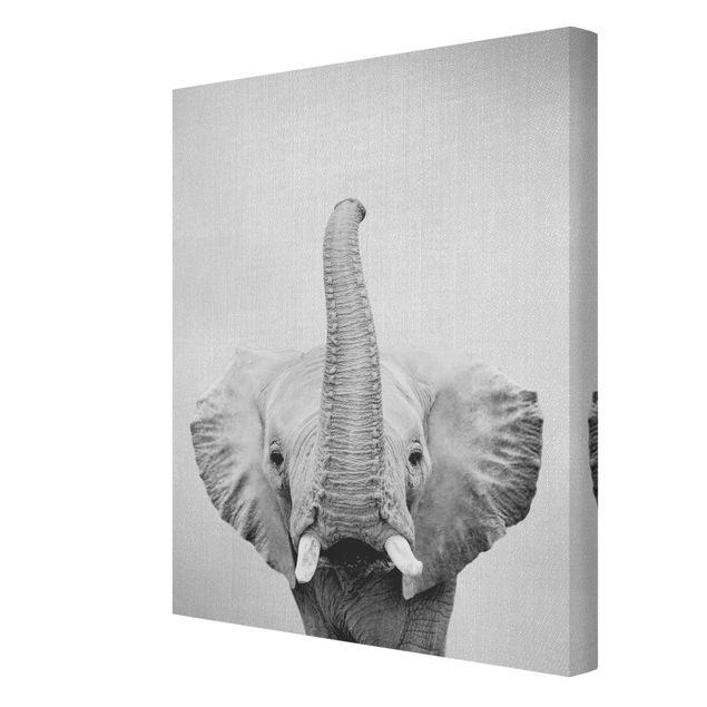 Wandbilder Modern Elefant Ewald Schwarz Weiß