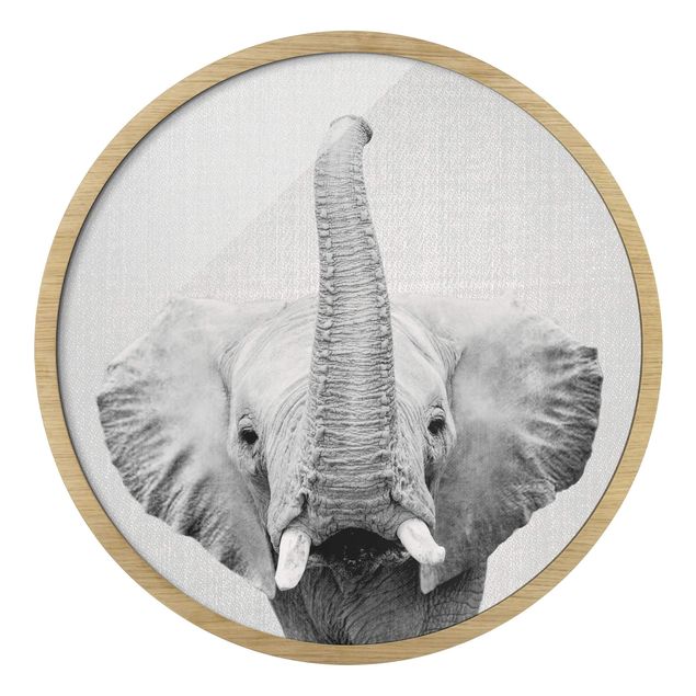 Gerahmte Bilder Tiere Elefant Ewald Schwarz Weiß
