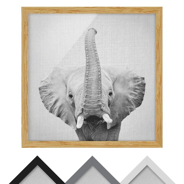 Wandbilder Schwarz-Weiß Elefant Ewald Schwarz Weiß