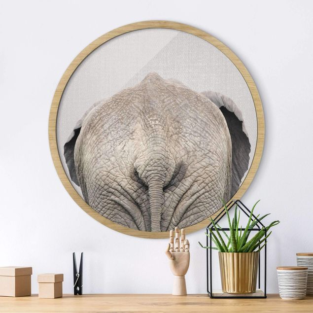 Wandbilder Elefanten Elefant von hinten