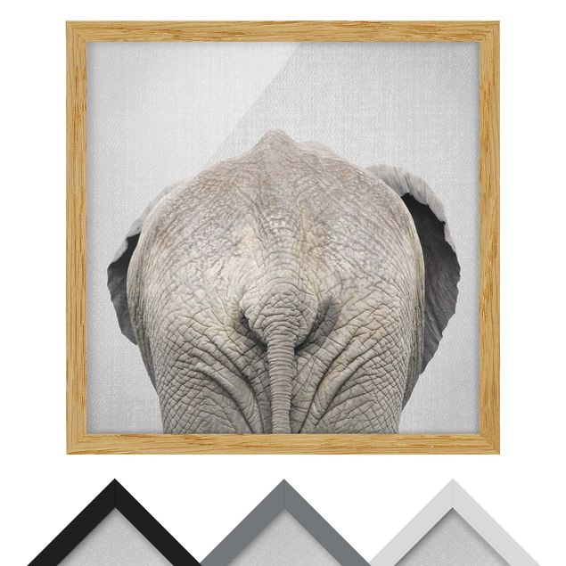 Wandbilder Schwarz-Weiß Elefant von hinten