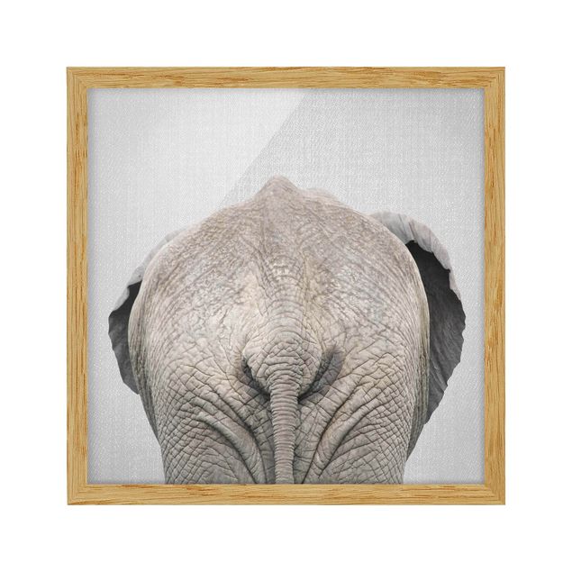 Tierbilder mit Rahmen Elefant von hinten