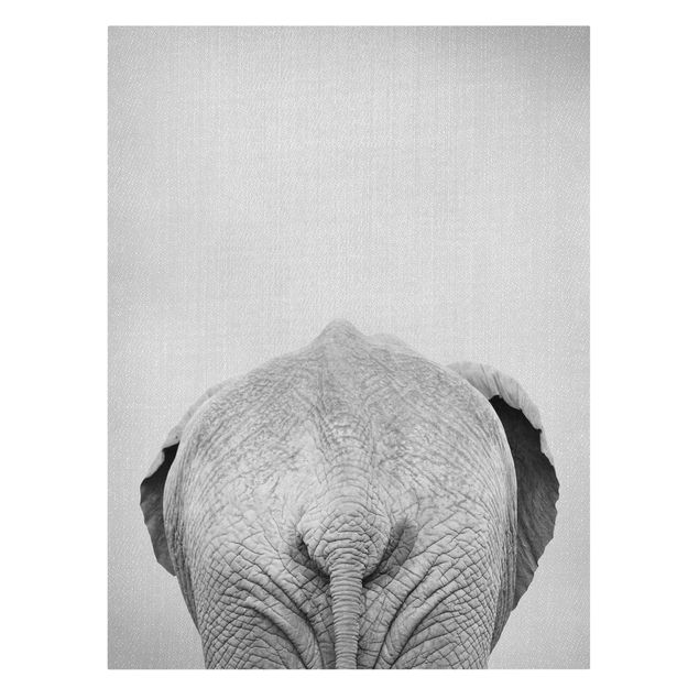 Leinwandbilder Tiere Elefant von hinten Schwarz Weiß