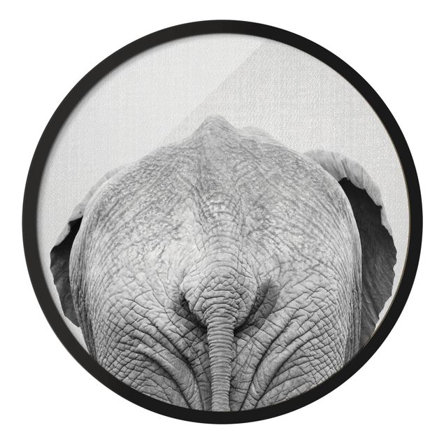 Tierbilder mit Rahmen Elefant von hinten Schwarz Weiß