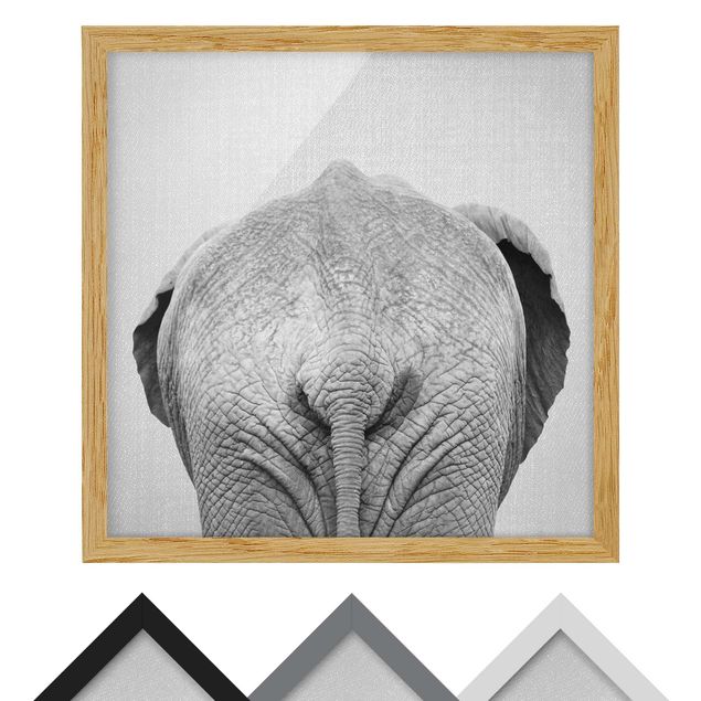 Wandbilder Schwarz-Weiß Elefant von hinten Schwarz Weiß