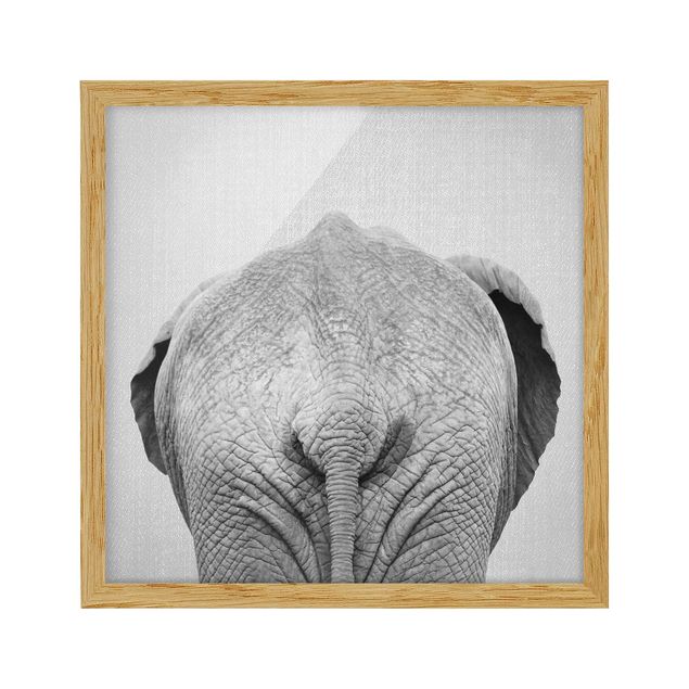 Gerahmte Bilder Tiere Elefant von hinten Schwarz Weiß