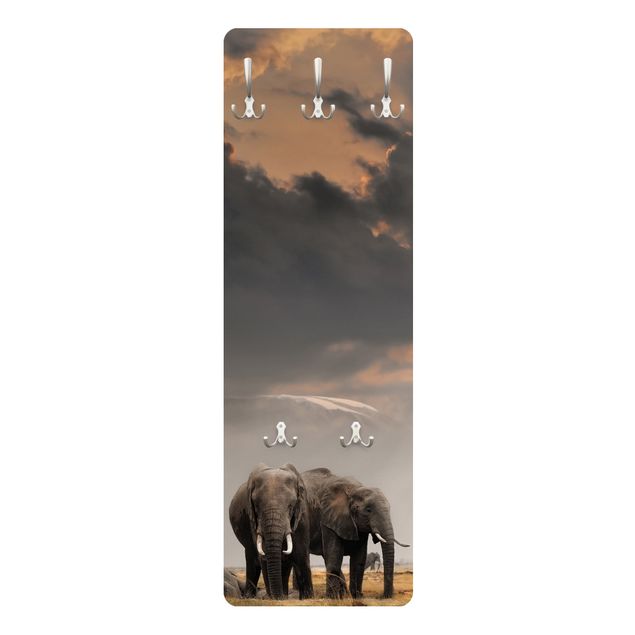 Wandgarderoben Braun Elefanten der Savanne
