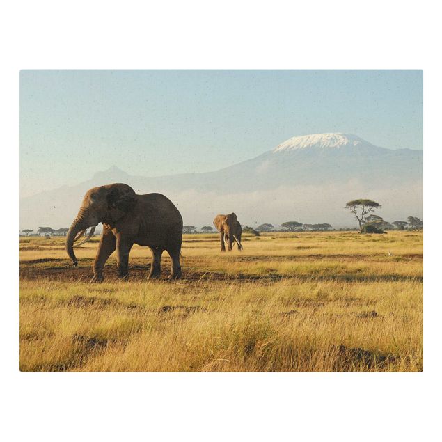 Leinwandbild Berge Elefanten vor dem Kilimanjaro in Kenya