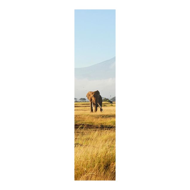 Schiebegardine Wald Elefanten vor dem Kilimanjaro in Kenya