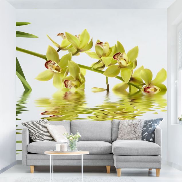 Orchideen Tapete Elegant Orchid Waters