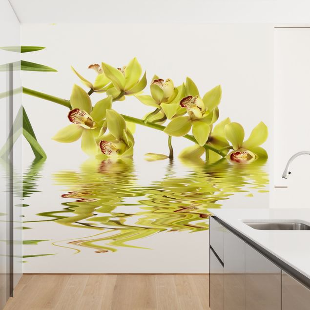 moderne Fototapete Elegant Orchid Waters
