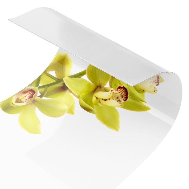 Küchenrückwand Folie Elegant Orchid Waters